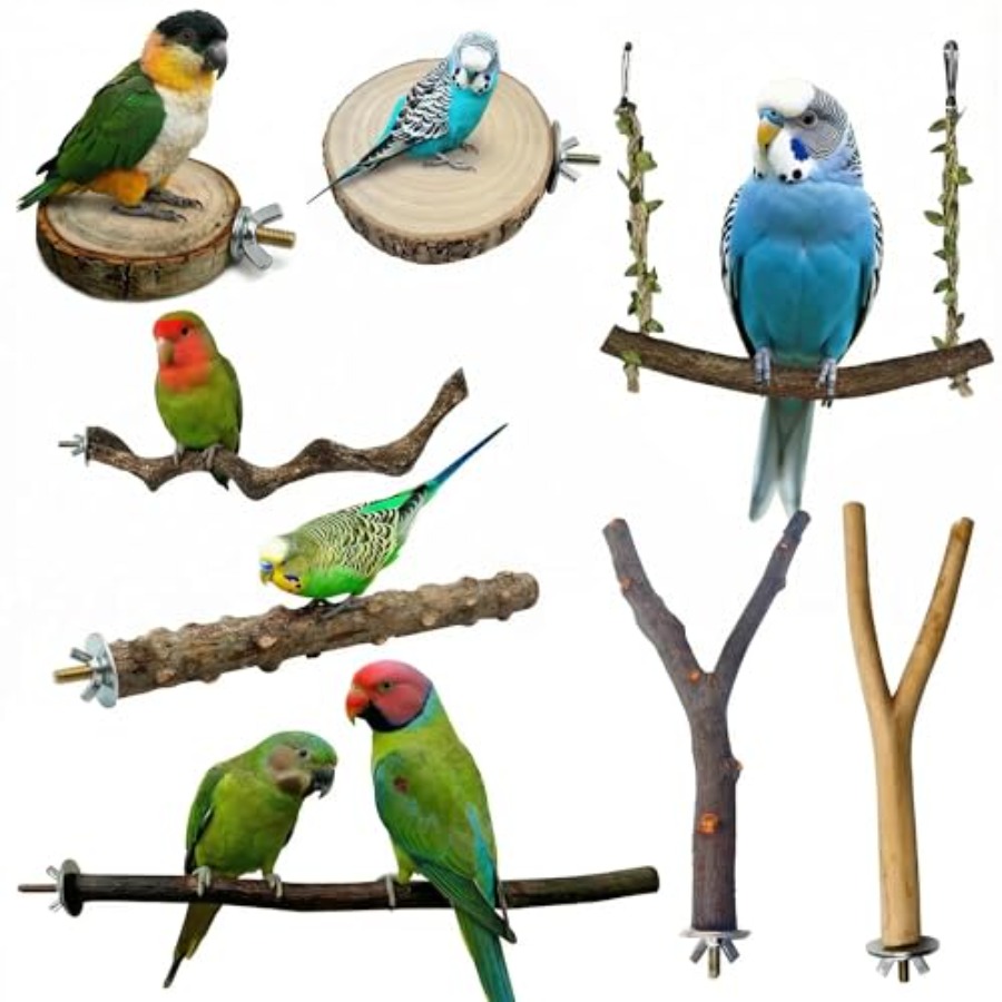 Health & Wellness Kuala Lumpur - 8 stuks natuurlijke houten vogelzitstokken voor