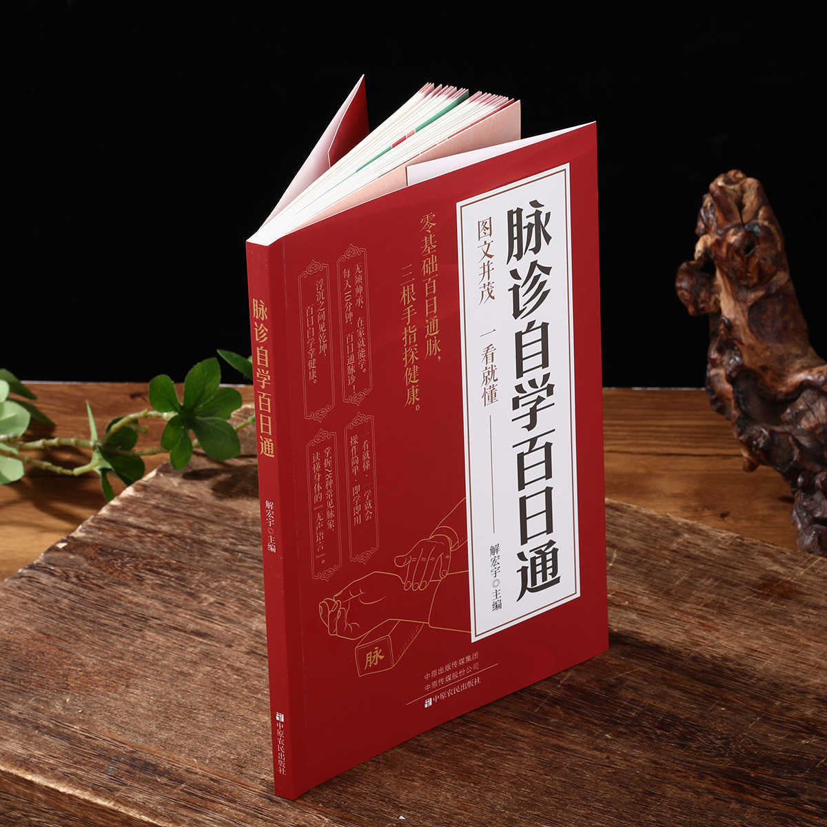 Pulsdiaagnose Zelfstudie Honde - Health & Wellness Kuala Lumpur recensie en prijs