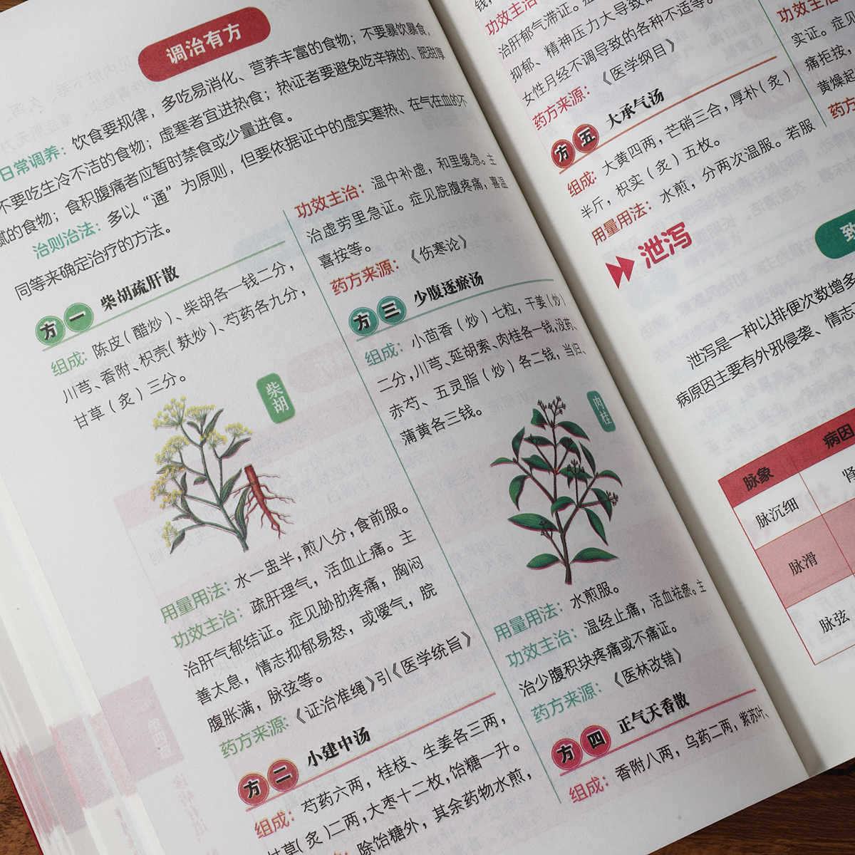 Pulsdiaagnose Zelfstudie Honde - Health & Wellness Kuala Lumpur recensie en prijs